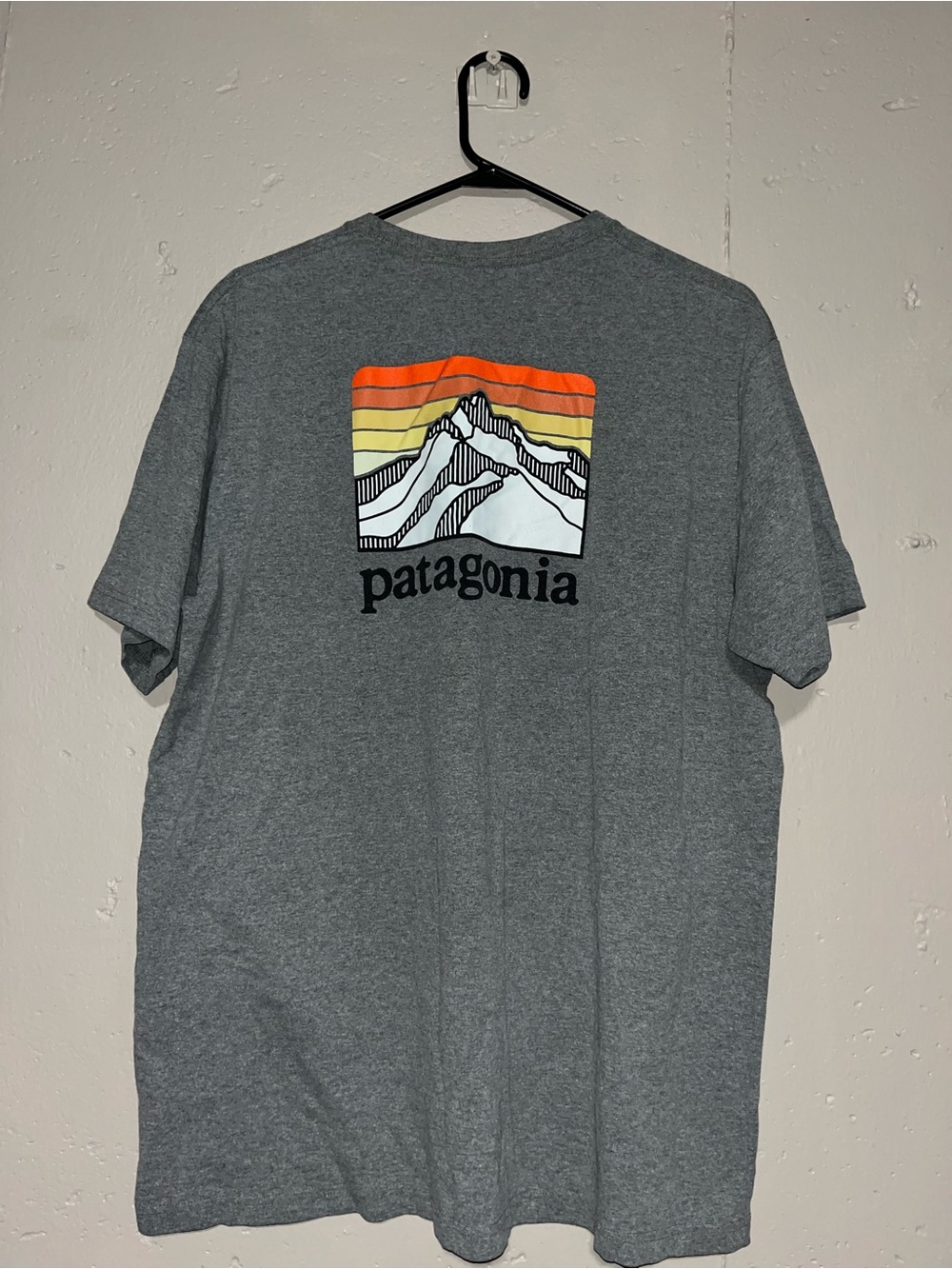 Patagonia Pocket Tee